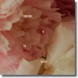 Cover: Lewis Capaldi - Something In The Heavens