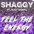 Cover: Shaggy & Busy Signal - Feel the Energy
