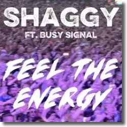 Cover: Shaggy & Busy Signal - Feel the Energy