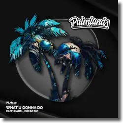 Cover: Raffi Habel & Dread MC - What U Gonna Do