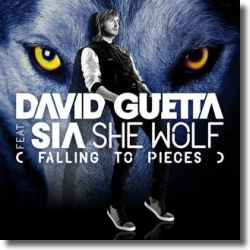 Cover: David Guetta feat. Sia - She Wolf  (Falling To Pieces)