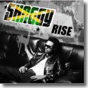 Cover:  Shaggy - Rise
