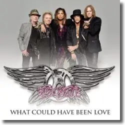 Cover: Aerosmith - What Could Have Been Love