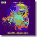Cover:  Big Boi - Vicious Lies And Dangerous Rumors