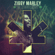 Cover: Ziggy Marley - In Concert
