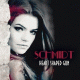 Cover: Schmidt - Heart Shaped Gun