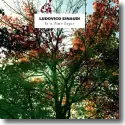 Cover:  Ludovico Einaudi - In A Time Lapse