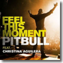 Cover:  Pitbull feat. Christina Aguilera - Feel This Moment