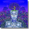 Cover:  Erykah Badu - New Amerykah Part II - Return of The Ankh