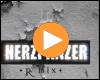 Cover: Eisenstein & der Zar - Herzpanzer Remix