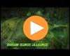 Cover: Dream Dance Alliance - Anywhere (Luvstruck 2014)