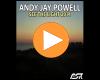 Cover: Andy Jay Powell - See The Light 2014