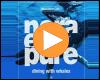 Cover: Nora En Pure - Diving With Whales