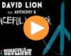 Cover: David Lion feat. Anthony B - Peaceful Warrior