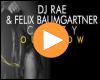 Cover: DJ Rae & Felix Baumgartner - Crazy