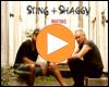 Cover: Sting & Shaggy - Waiting For The Break Of Day