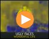 Cover: Ugly Faces - Wonderful Life