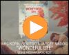 Cover: Marc Korn, Semitoo & Jaycee Madoxx - Wonderful Life