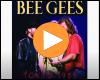 Cover: Bee Gees - Ordinary Lives
