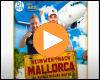Cover: DJ Heini & Deejay Matze - Heimweh nach Mallorca