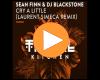 Cover: Sean Finn & DJ Blackstone - Cry a Little (Laurent Simeca Remix)