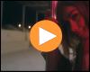 Video-Vorschaubild: Wordz & Brubek feat. Carlo Montagnèr - City Lights