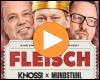 Cover: Knossi & Mundstuhl - Fleisch