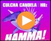 Cover: Culcha Candela x HBz - HAMMA! 2k22