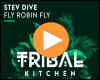 Cover: Stev Dive - Fly Robin Fly