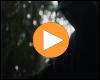 Video-Vorschaubild: Marteria - Wald