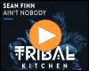 Cover: Sean Finn - Ain't Nobody