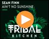 Cover: Sean Finn - Ain't No Sunshine