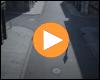 Video-Vorschaubild: Falling In Reverse - Last Resort (Reimagined)