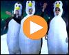 Cover: Daniele Negroni & Die Partydriver - Pinguin