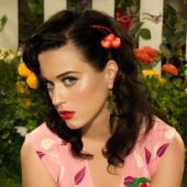 Katy Perry ist die Twitter-Koenigin 2013