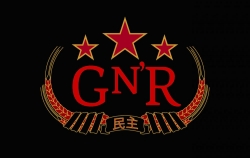 Guns N Roses auf Erfolgskurs