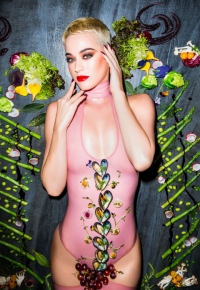 Katy Perry: Fan designt Outfit fuer ihren Hund