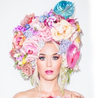 Katy Perry: Albumveroeffentlichung verschoben