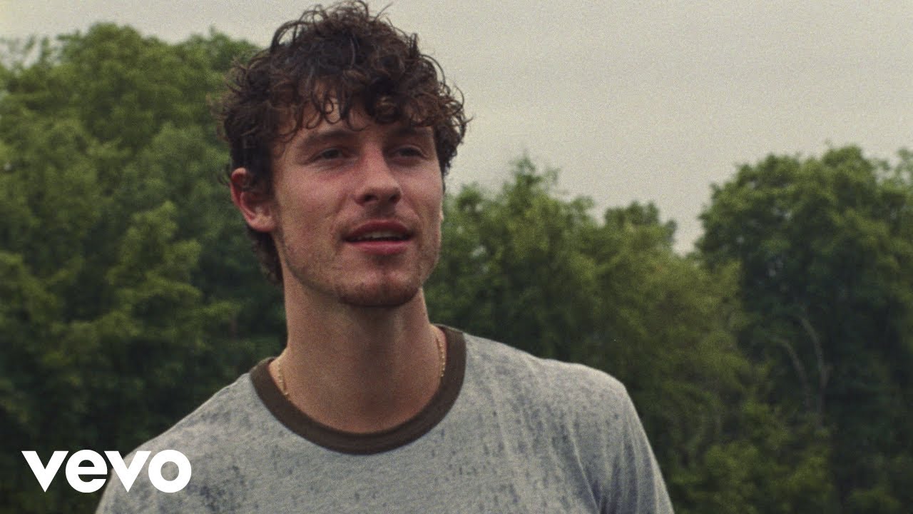 Shawn Mendes – Why Why Why