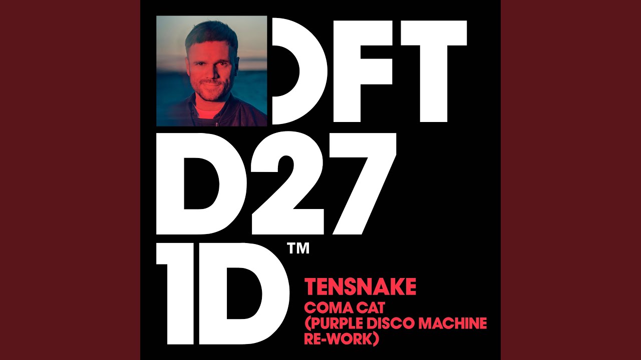 Tensnake – Coma Cat (Purple Disco Machine Re-Work)