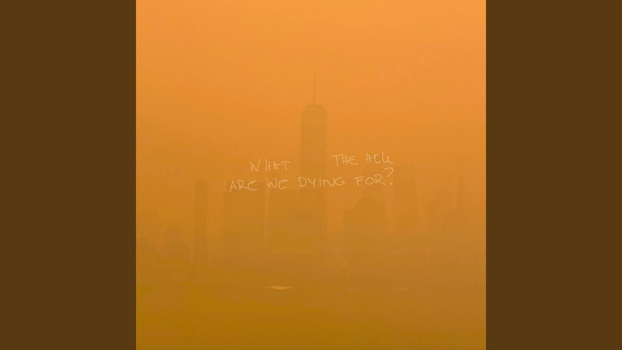Shawn Mendes – What The Hell Are We Dying For?