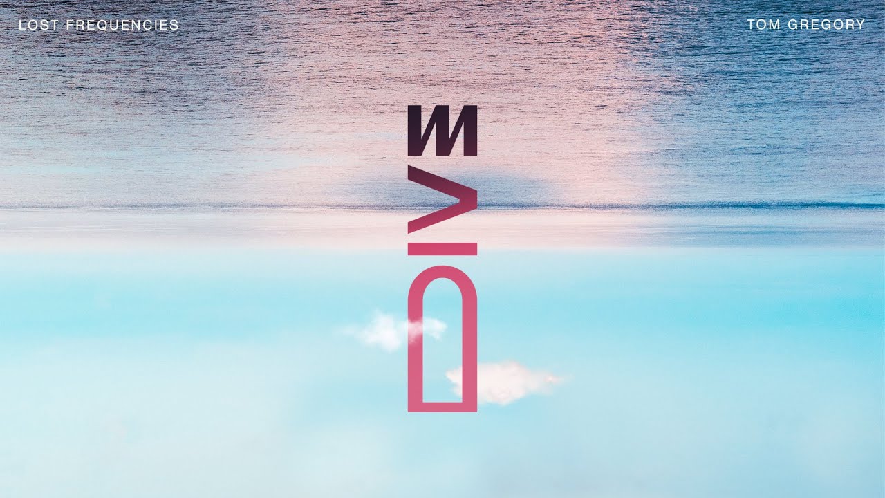 Lost Frequencies & Tom Gregory – Dive