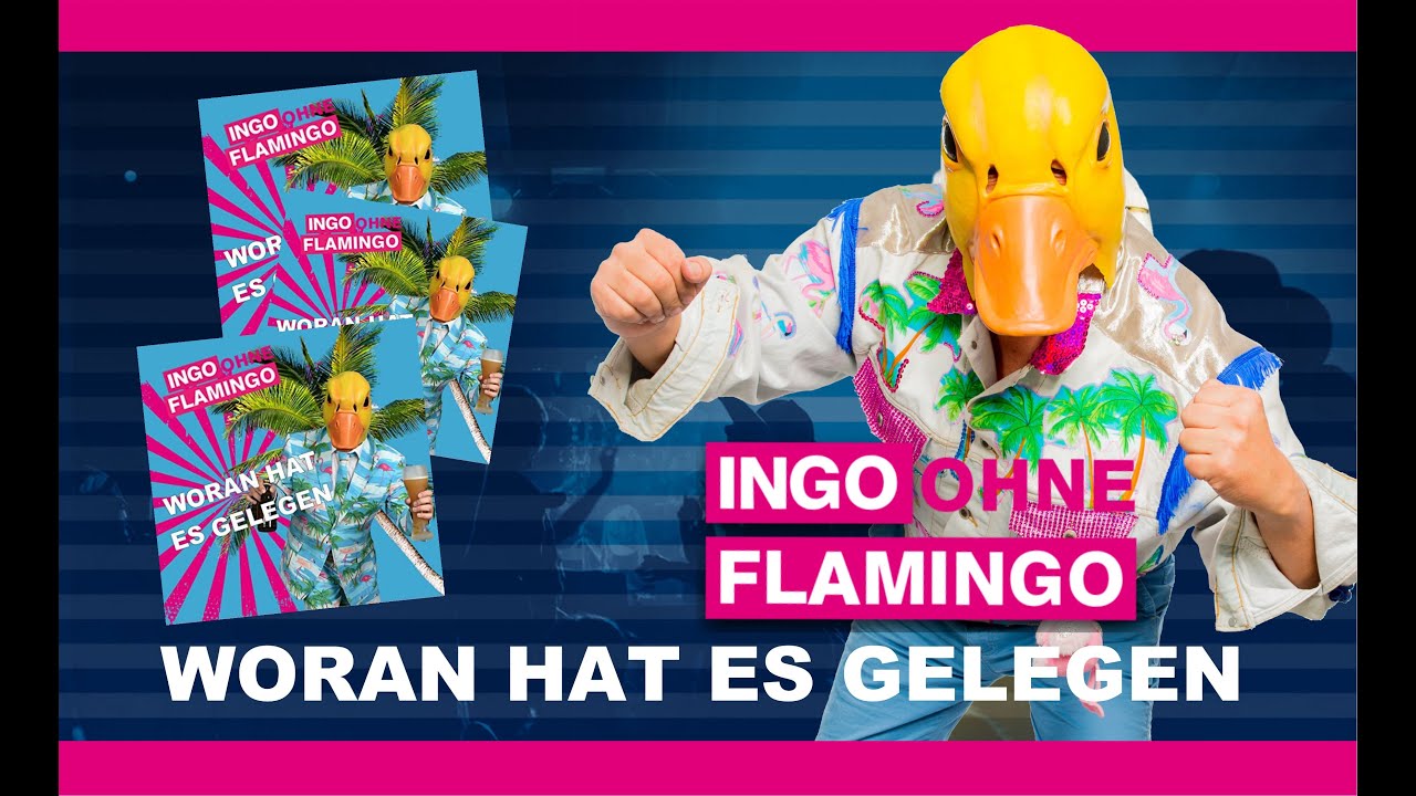 Ingo ohne Flamingo – Woran hat es gelegen