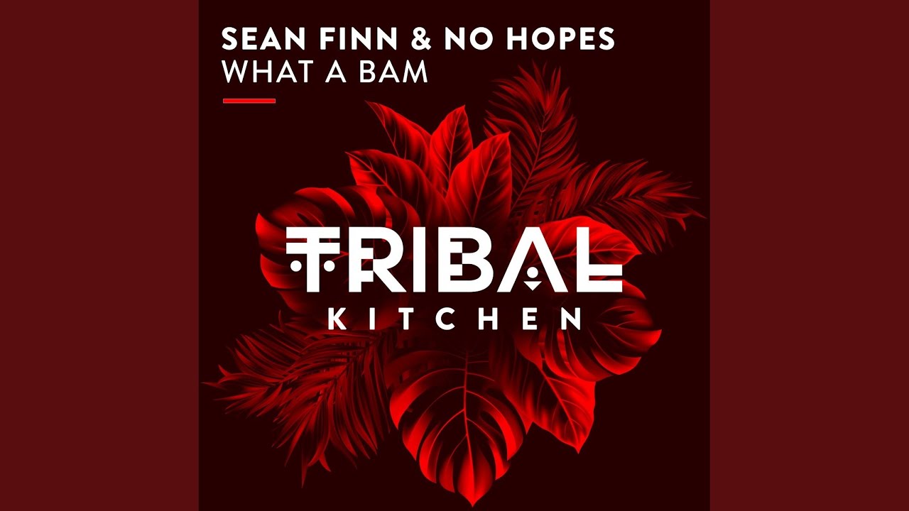 Sean Finn & No Hopes – What A Bam