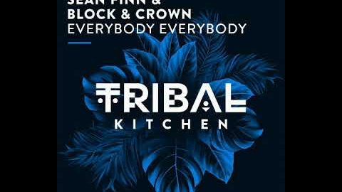 Sean Finn & Block & Crown – Everybody Everybody