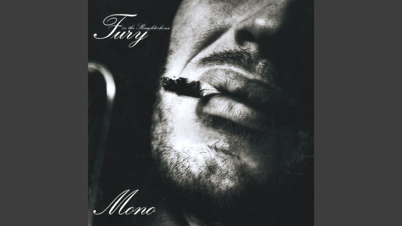 Fury In The Slaughterhouse – Radio Orchid