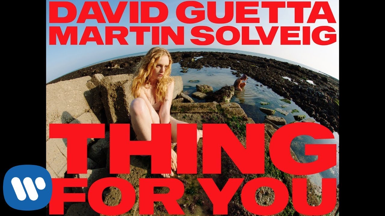 David Guetta & Martin Solveig – Thing For You