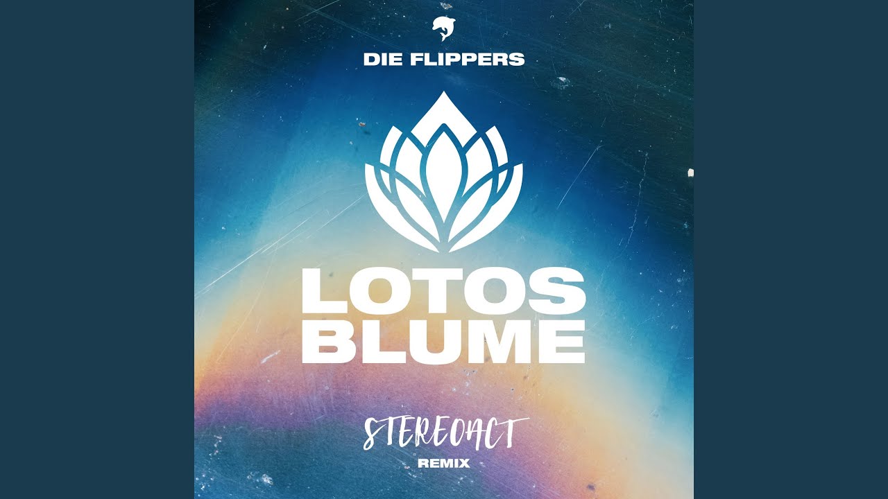 Video starten: Die Flippers x Stereoact – Lotosblume