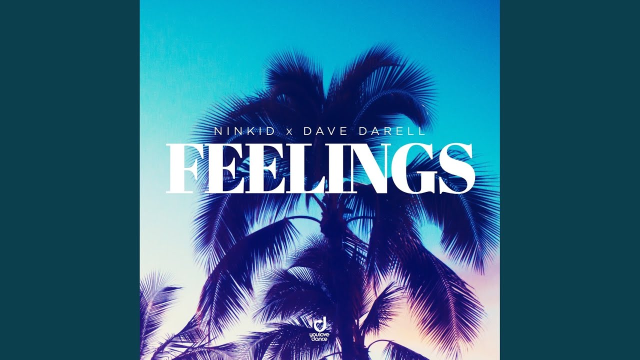 Ninkid & Dave Darell – Feelings