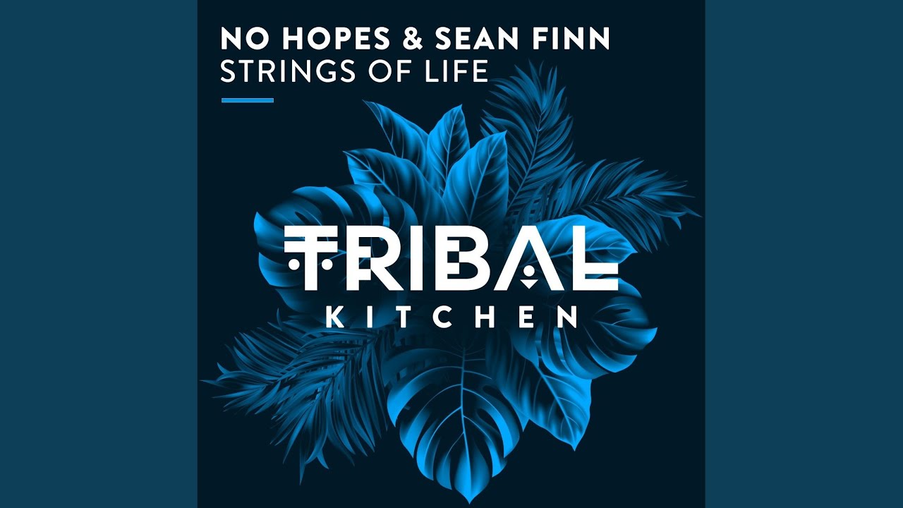 No Hopes & Sean Finn – Strings Of Life